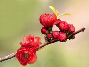 九阳真经在线免费观看