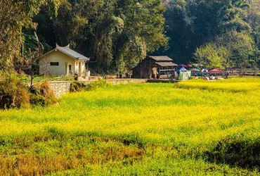 无人区高清免费网页直播