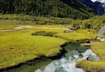 曰韩高清砖吗砖专区