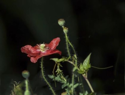 红歌大联唱60首串烧