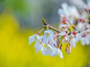 肥水只流良田不给外人耕